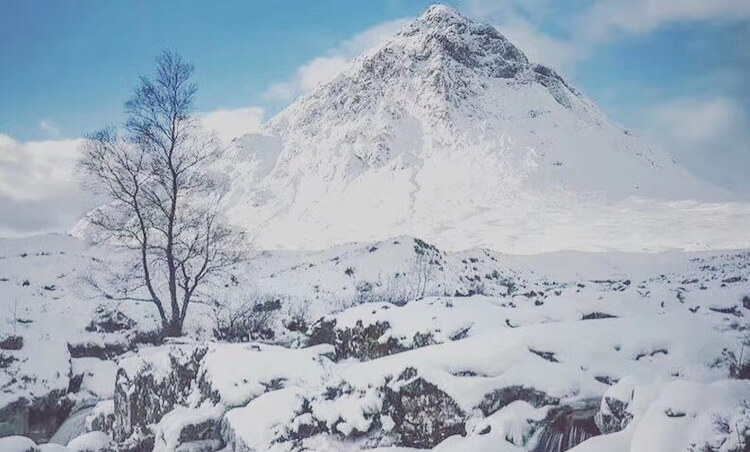 雪地风光